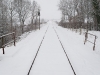 photo02
