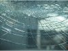 photo10