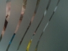 photo12