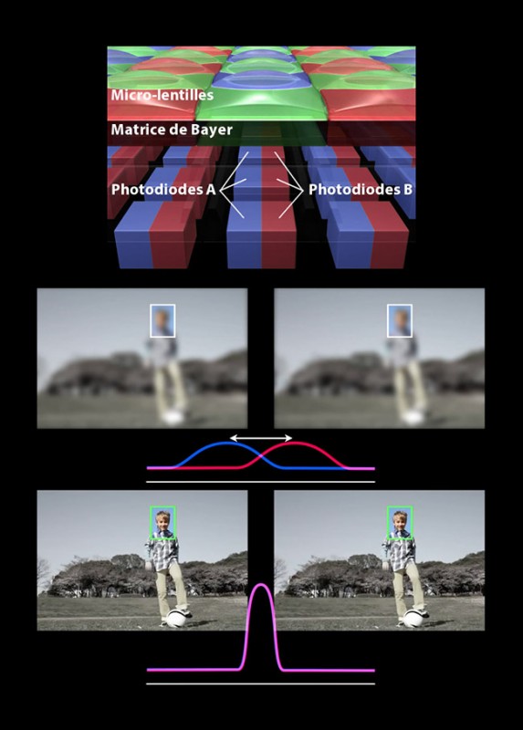 Test terrain: Canon EOS 7D Mark II - Darth's Blog